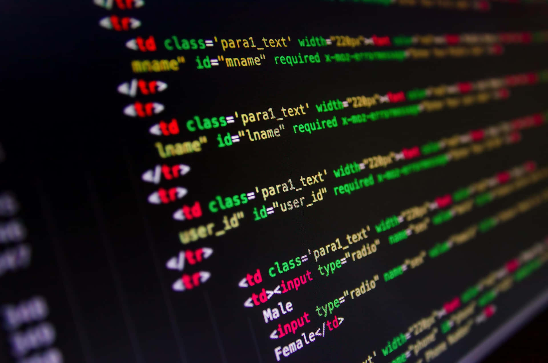 web dev.webp